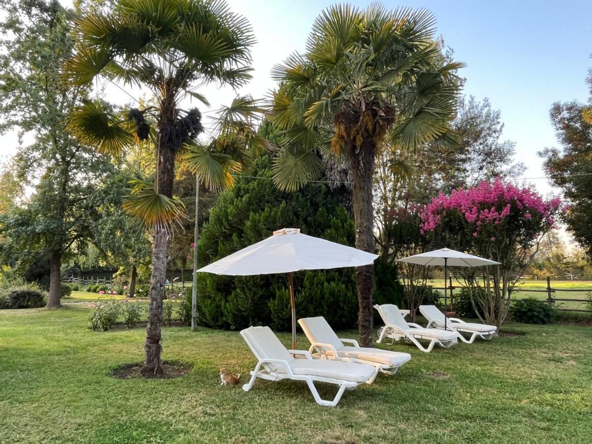 Bed & Breakfast ,Casa De Campo San Esteban,Linares Miraflores ภายนอก รูปภาพ